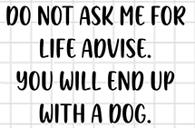 End Up With a Dog