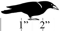 Small Crow