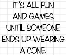 Wear a Cone
